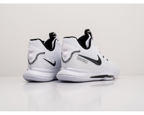 Кроссовки Nike Lebron Witness V