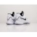 Кроссовки Nike Lebron Witness V