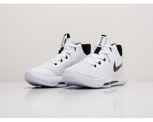 Кроссовки Nike Lebron Witness V