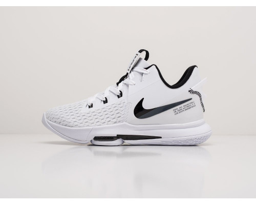 Кроссовки Nike Lebron Witness V