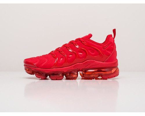 Кроссовки Nike Air VaporMax Plus