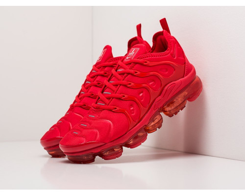 Кроссовки Nike Air VaporMax Plus