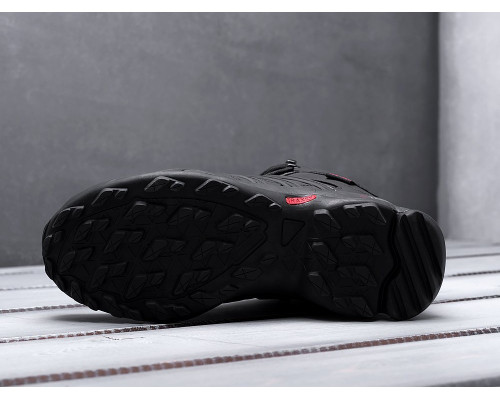 Ботинки Adidas Terrex Winter