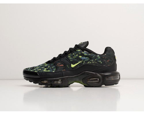 Кроссовки Nike Air Max Plus TN