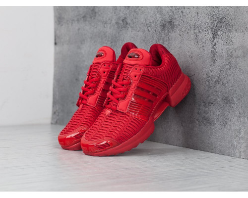 Кроссовки Adidas Climacool 1