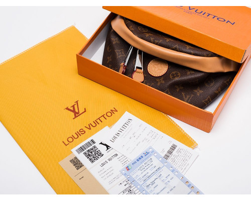 Поясная сумка Louis Vuitton