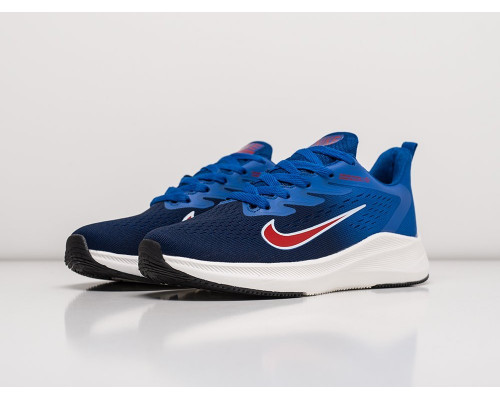 Кроссовки Nike Air Pegasus +30