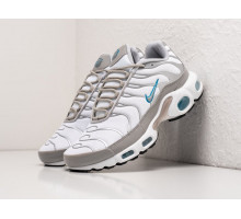 Кроссовки Nike Air Max Plus TN