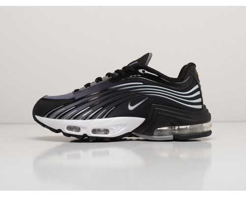 Кроссовки Nike Air Max Plus 2