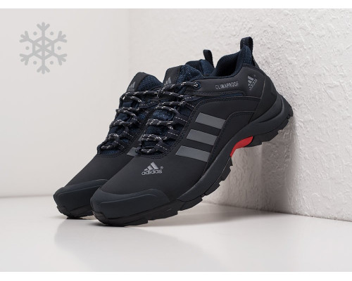 Кроссовки Adidas Terrex AX2