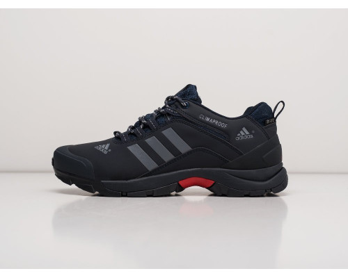 Кроссовки Adidas Terrex AX2