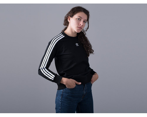 Свитшот Adidas