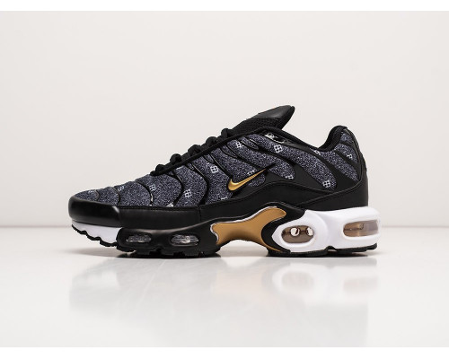 Кроссовки Nike Air Max Plus TN