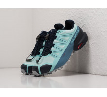 Кроссовки Salomon SPEEDCROSS 5 GTX