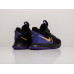 Кроссовки Nike Lebron Witness V