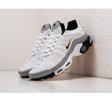 Кроссовки Nike Air Max Plus TN