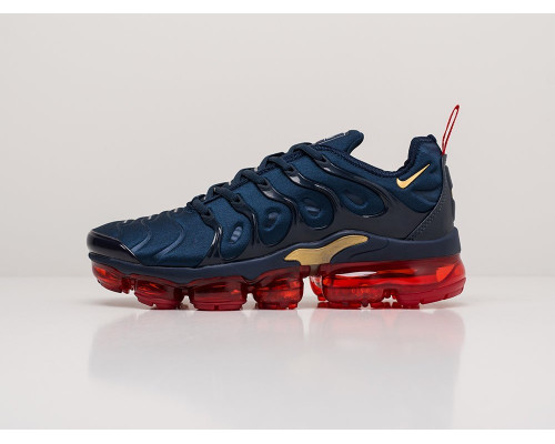 Кроссовки Nike Air VaporMax Plus