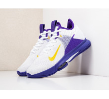 Кроссовки Nike Lebron Witness IV