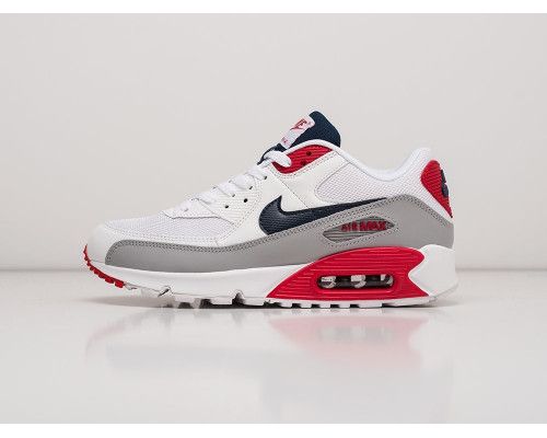 Кроссовки Nike Air Max 90