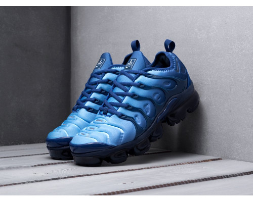 Кроссовки Nike Air VaporMax Plus