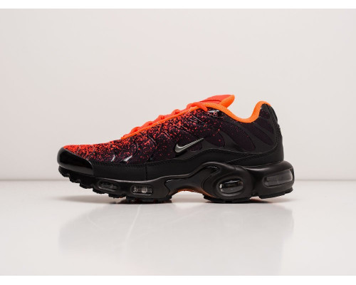 Кроссовки Nike Air Max Plus TN