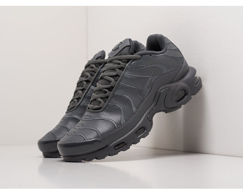 Кроссовки Nike Air Max Plus