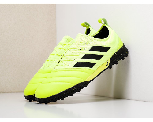 Футбольная обувь Adidas Copa 19.3 TF