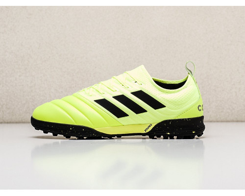 Футбольная обувь Adidas Copa 19.3 TF