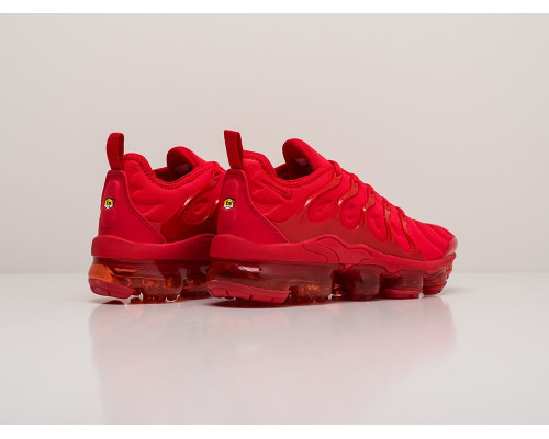 Кроссовки Nike Air VaporMax Plus