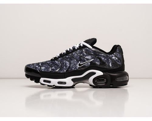 Кроссовки Nike Air Max Plus TN