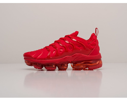 Кроссовки Nike Air VaporMax Plus