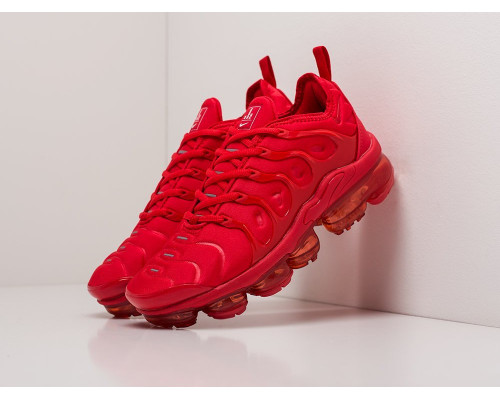 Кроссовки Nike Air VaporMax Plus