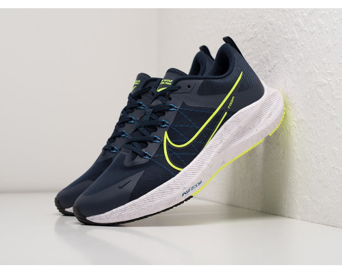 Кроссовки Nike Zoom Winflo 8