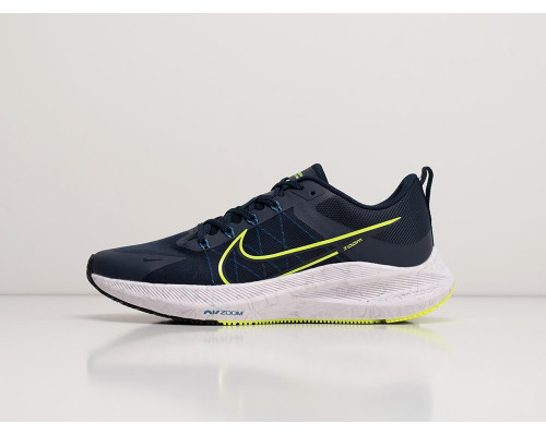 Кроссовки Nike Zoom Winflo 8