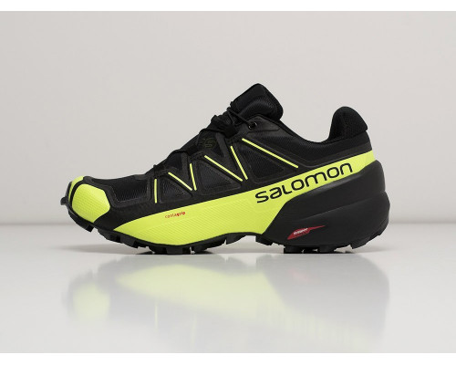 Кроссовки Salomon SPEEDCROSS 5 GTX