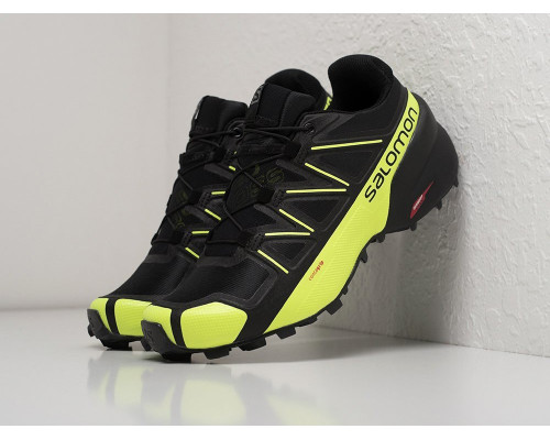 Кроссовки Salomon SPEEDCROSS 5 GTX