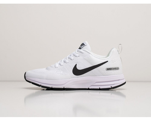 Кроссовки Nike Air Pegasus +30