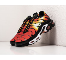 Кроссовки Nike Air Max Plus TN