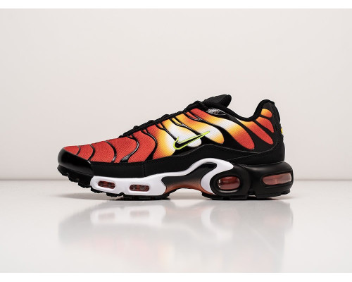 Кроссовки Nike Air Max Plus TN