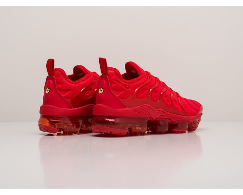 Кроссовки Nike Air VaporMax Plus