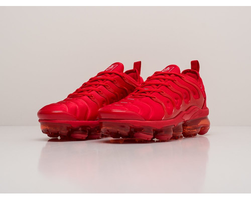 Кроссовки Nike Air VaporMax Plus