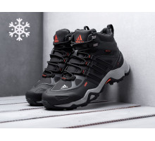 Зимние Ботинки Adidas Terrex Winter