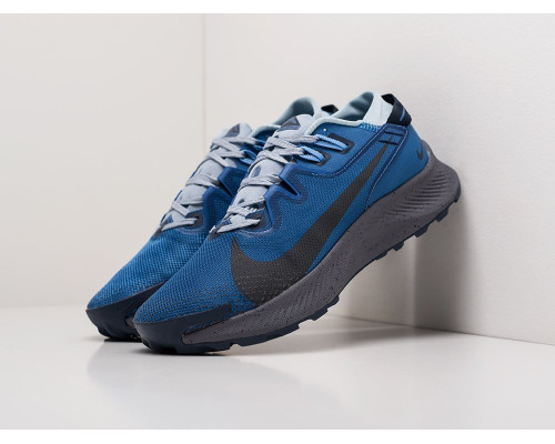 Кроссовки Nike Pegasus Trail 2