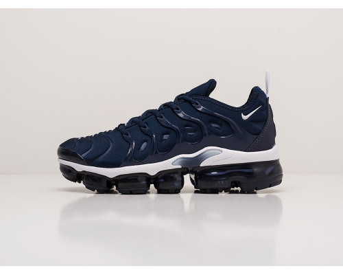 Кроссовки Nike Air VaporMax Plus