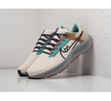 Кроссовки Nike Air Zoom Pegasus 38