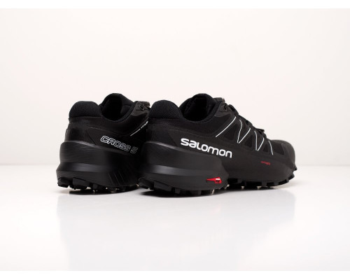 Кроссовки Salomon SPEEDCROSS 5 GTX