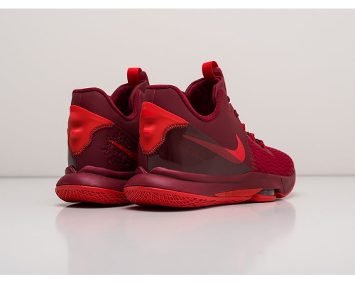 Кроссовки Nike Lebron Witness V