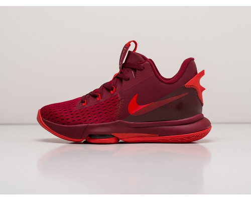 Кроссовки Nike Lebron Witness V