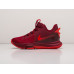 Кроссовки Nike Lebron Witness V