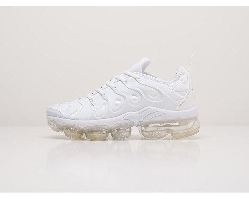 Кроссовки Nike Air VaporMax Plus